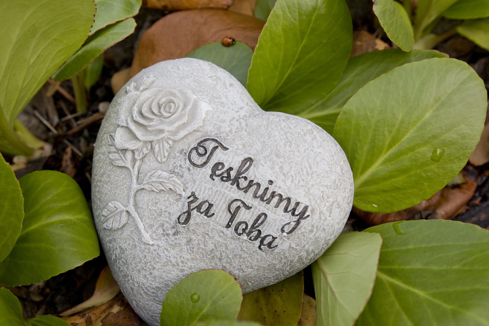 Kamienne serce z napisem Tęsknimy za Tobą